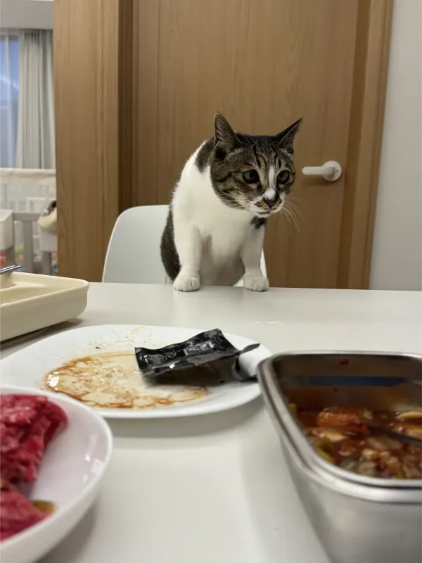 인사드립니다