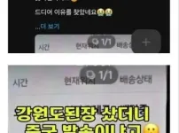 중국산으로 오해받은 이유