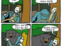 곰 만났을 때 죽은척하면 안 되는 이유