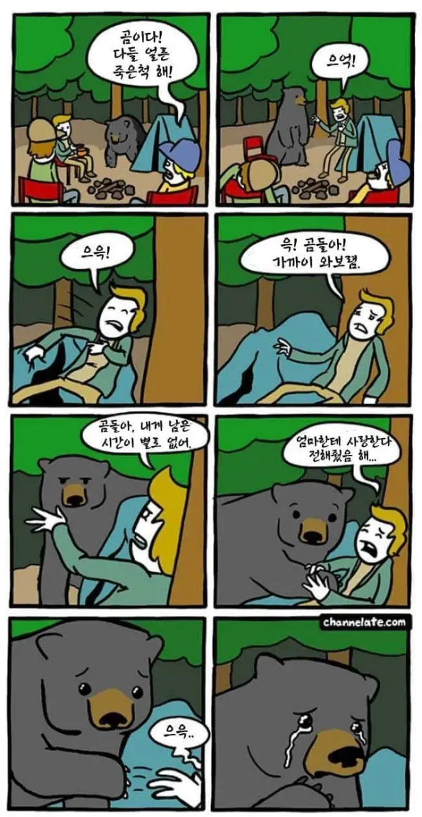 곰 만났을 때 죽은척하면 안 되는 이유