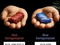 의외로 5대5로 나뉜다는 선택지...