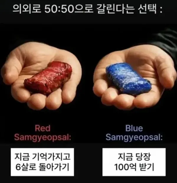 의외로 5대5로 나뉜다는 선택지...