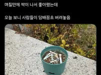 회사 옥상에 화분을 두었더니 생긴 일