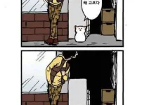 고양이가 말을 하는