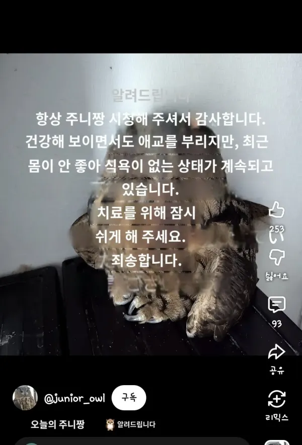 어느 일본인 유튜버가 6년만에 눈치챈 사실