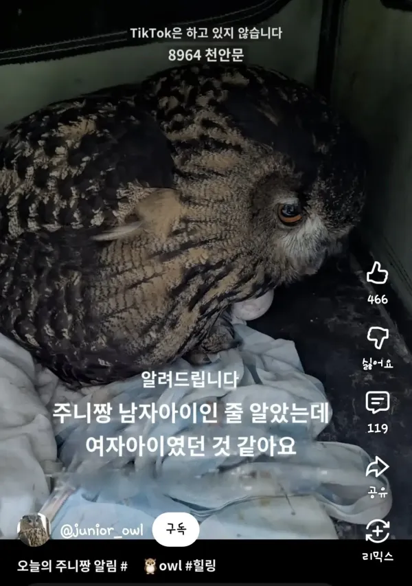 어느 일본인 유튜버가 6년만에 눈치챈 사실