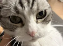 뭘봐