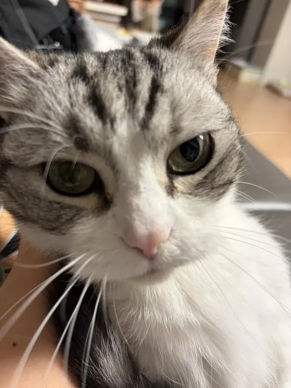 뭘봐