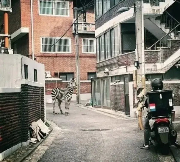대한민국 퓰리쳐상 후보작들