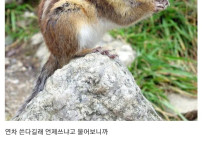 어설프게 아는 새끼가 더 짜증나네