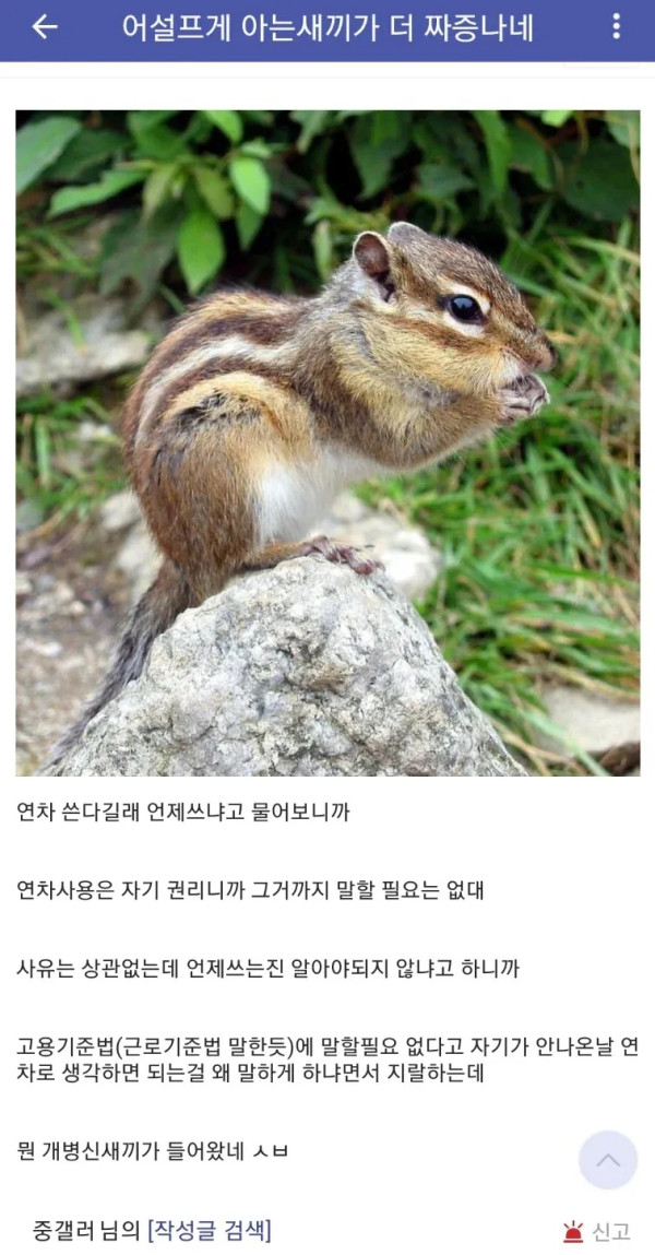 어설프게 아는 새끼가 더 짜증나네