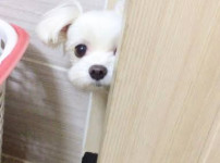 얘 귀엽지?
