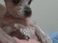 한 사년만에 오네