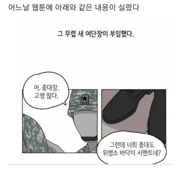 군대 웹툰에 댓글단 언냐들