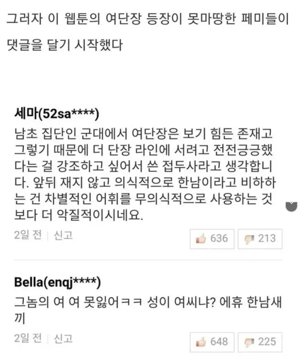 군대 웹툰에 댓글단 언냐들