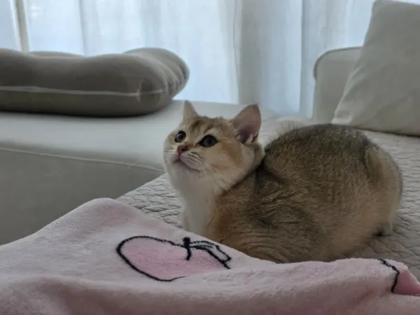 우리집 주인님