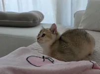 우리집 주인님