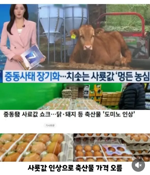 4월 대한민국 근황