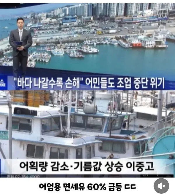 4월 대한민국 근황