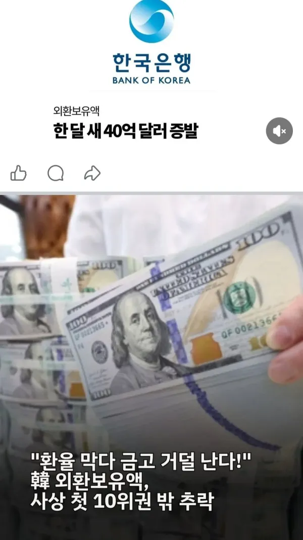 4월 대한민국 근황