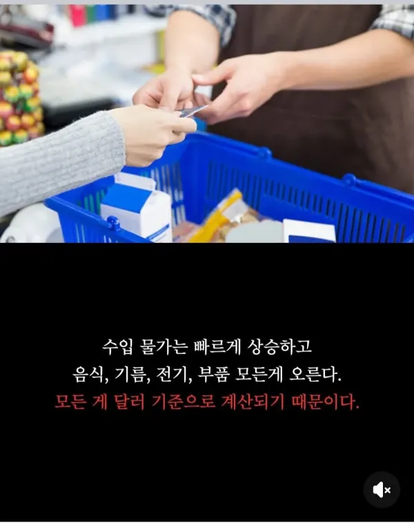 4월 대한민국 근황