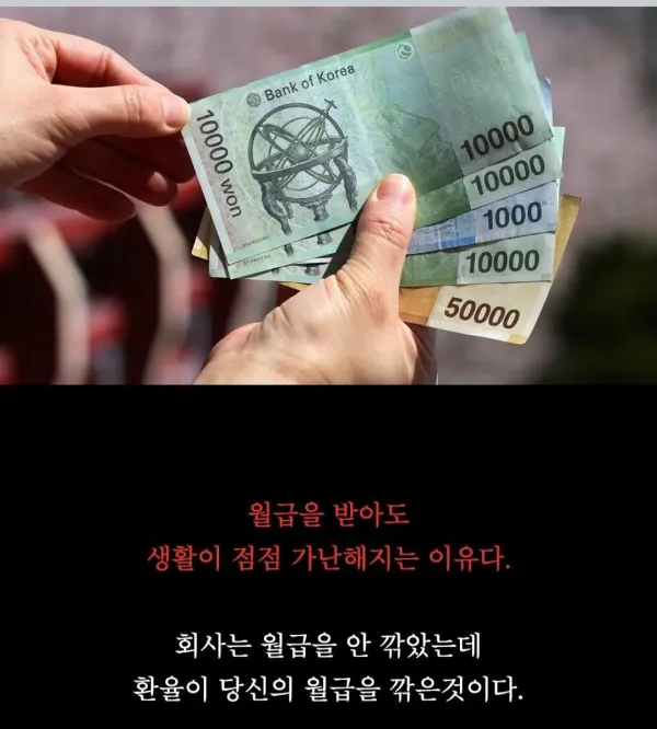 4월 대한민국 근황