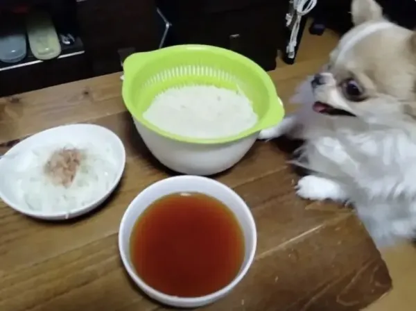 뭣 국수를 삶아?