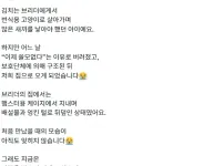 이름이 김치인 고양이