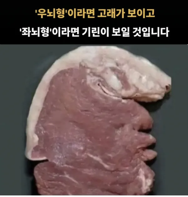 우뇌형,좌뇌형 테스트