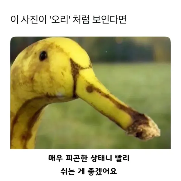 이것은 바나나 입니다