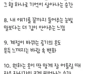 주변에 있는 조그만한 행복들