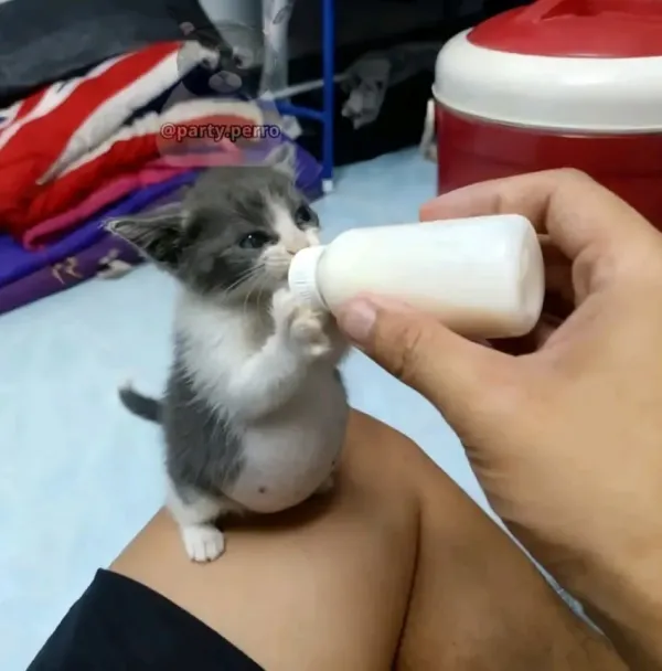 빵빵