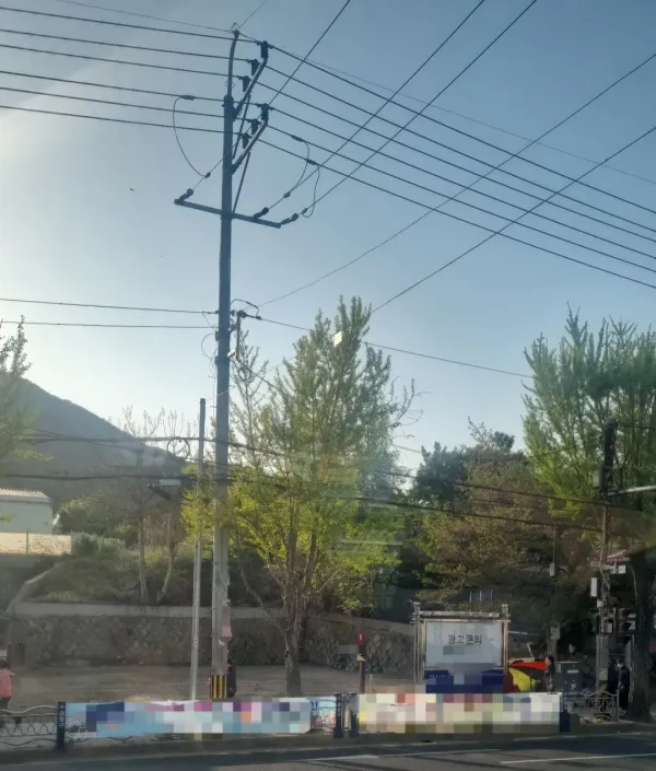 오늘 완전 초여름 바이브네~