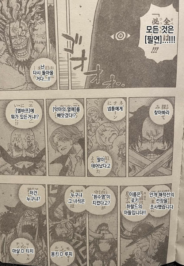 강스포 원피스 최신화 근황 ㄷㄷ
