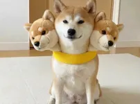 지옥에서 온