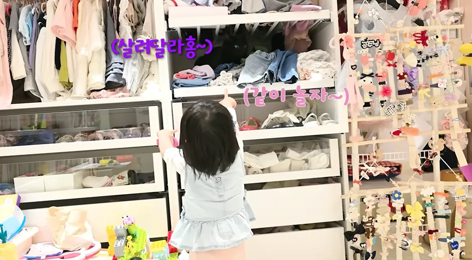 박수홍네 고양이 다홍이 근황
