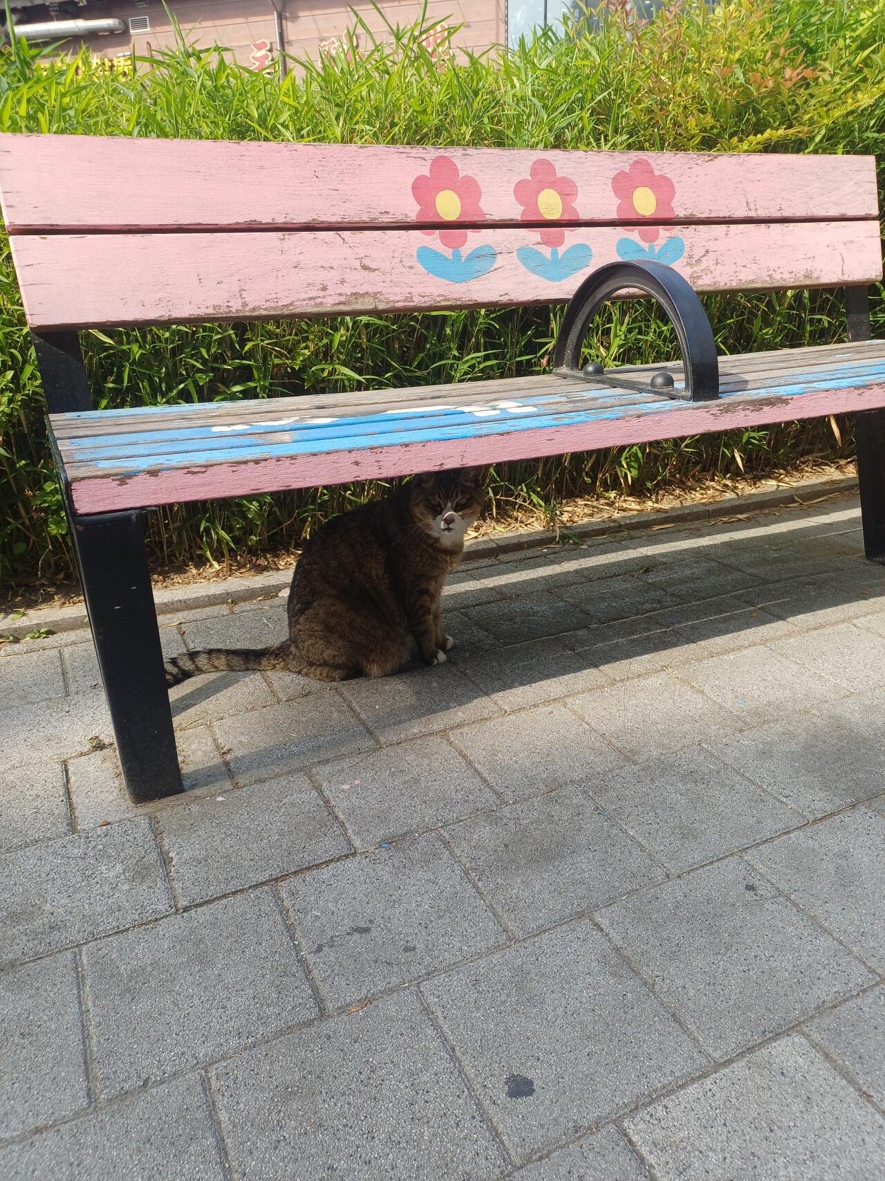 할미 건강하세유