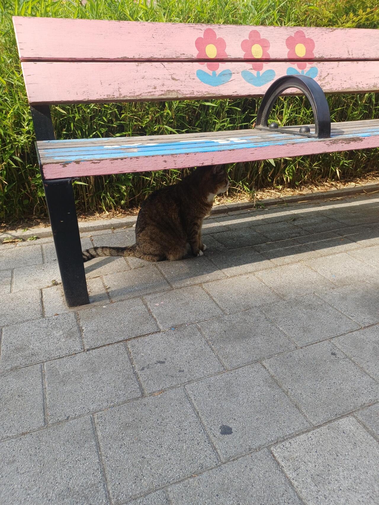 할미 건강하세유