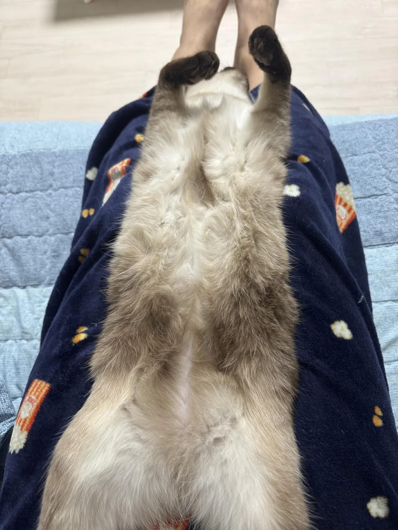 역변