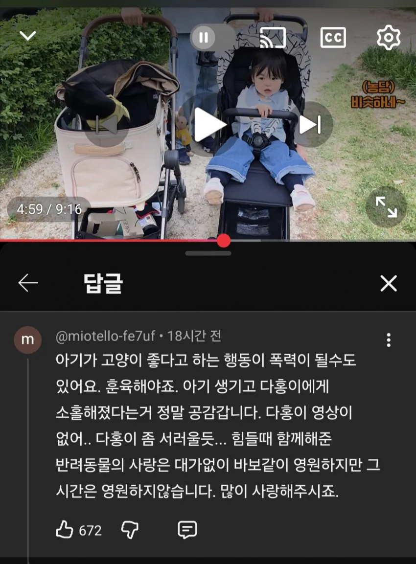 슬슬 시동걸리는 박수홍 유튜브