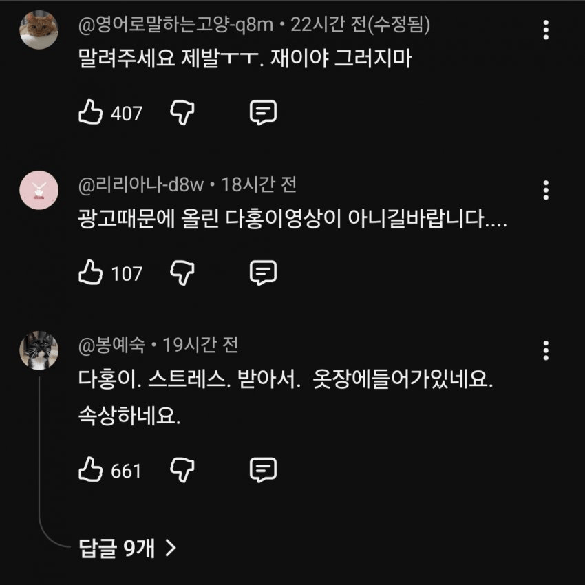 슬슬 시동걸리는 박수홍 유튜브