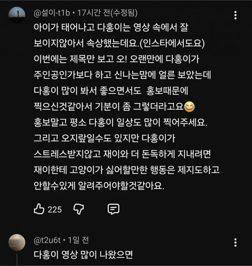 슬슬 시동걸리는 박수홍 유튜브