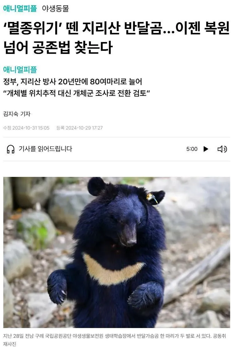 지리산 반달곰,이젠 복원 넘어 공존법 찾는다