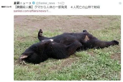 지리산 반달곰,이젠 복원 넘어 공존법 찾는다