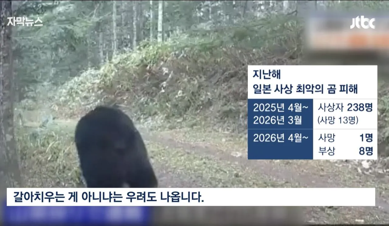 지리산 반달곰,이젠 복원 넘어 공존법 찾는다