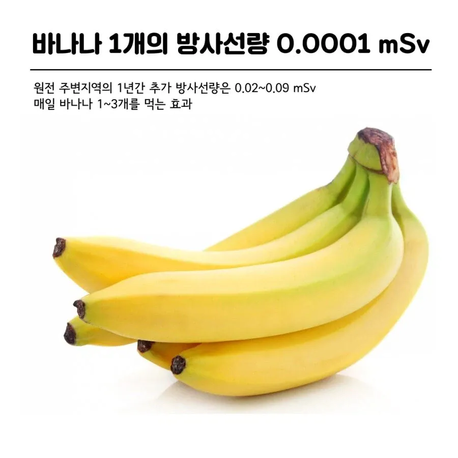 바나나의 위험성 ㅎㄷㄷ