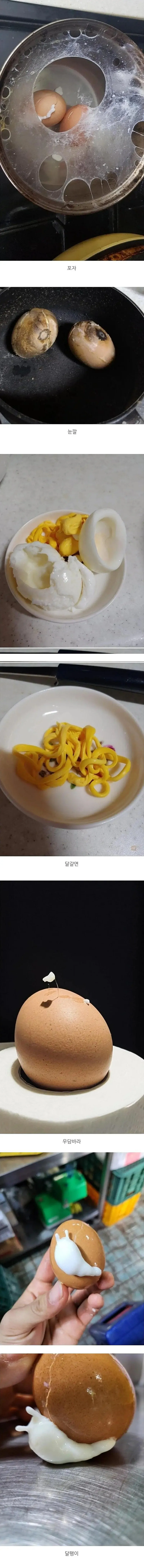 망한 삶은달걀 대회