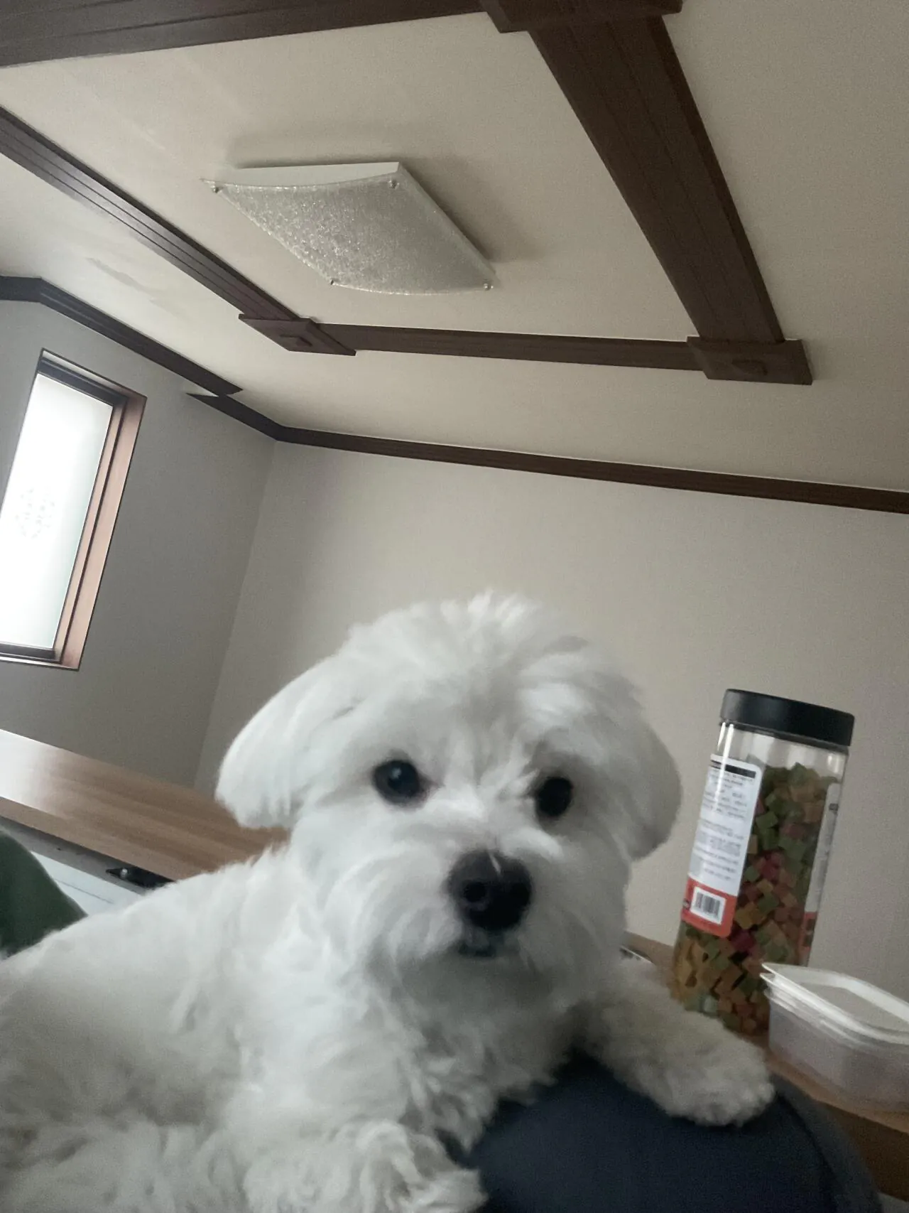 지금 내 시야