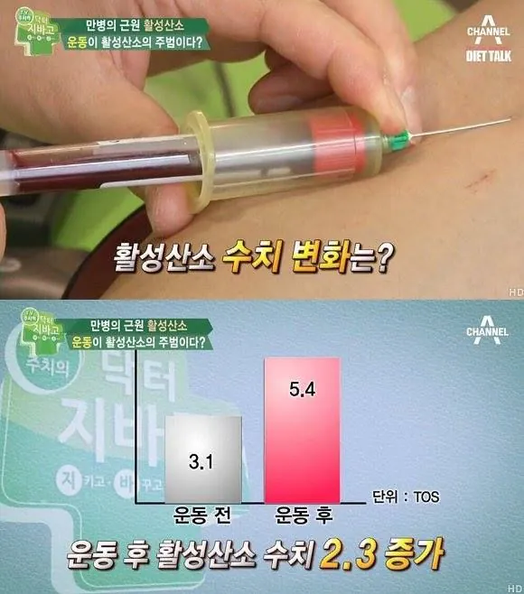 운동 후 스트레칭은 필수다