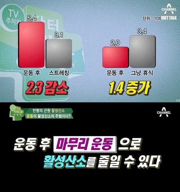 운동 후 스트레칭은 필수다